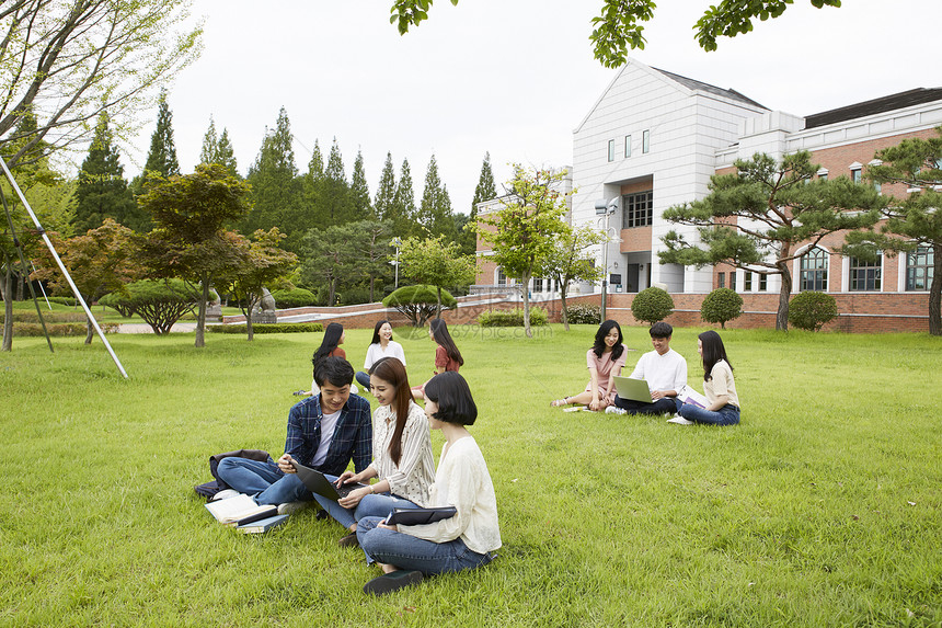 户外草坪上看笔记本电脑探讨学习的大学生图片