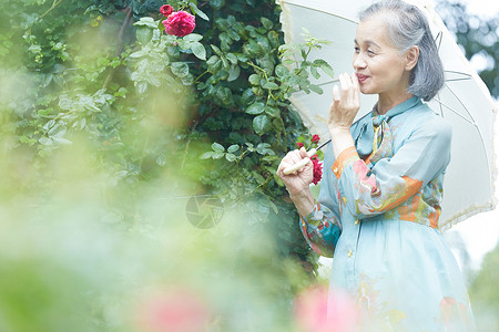 拿着遮阳伞的老年妇女在庭院里摘花背景图片