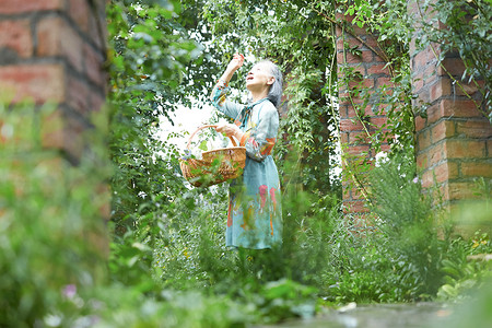 女生春快乐采摘花的资深夫人在庭院里图片
