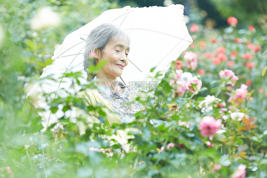 生活资料愉快时髦拿着遮阳伞的资深妇女在庭院里图片