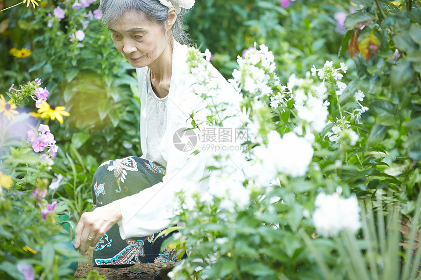 庭院里种花的老年女性图片