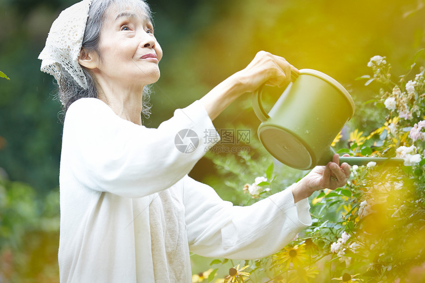花园里拿着水壶浇水的老妇人图片