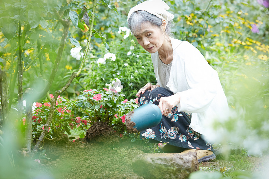 花园里照料花朵的老奶奶图片