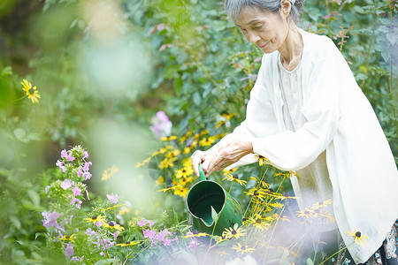 户外庭院浇水的老年女性图片