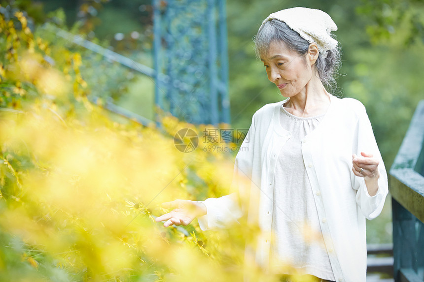 在庭院里采摘花的老年妇女图片