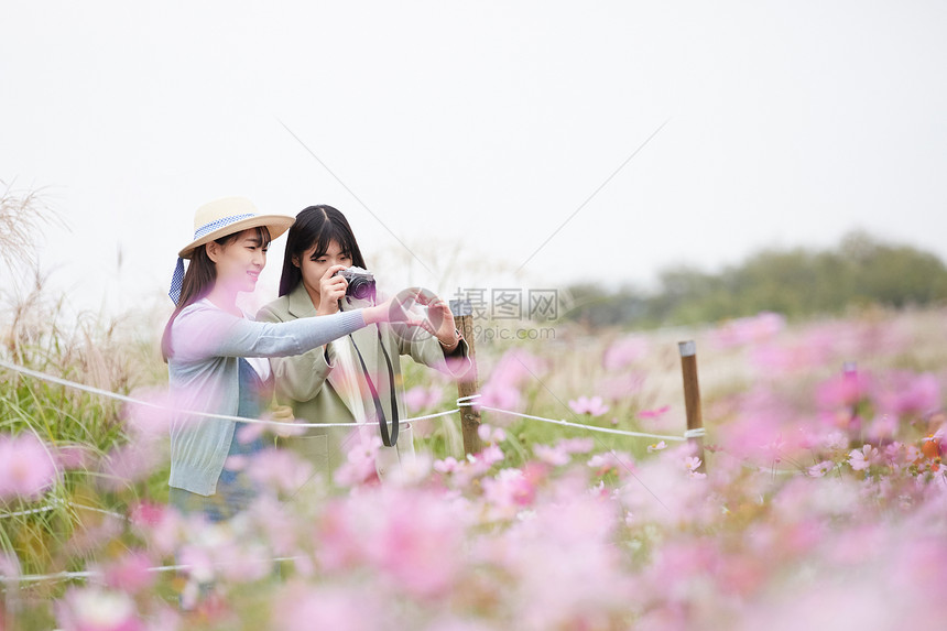 秋天开的花唐尼手指青春朋友旅行图片