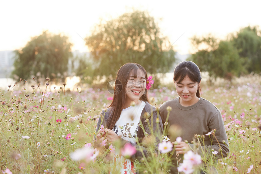 成年女子在花丛中图片