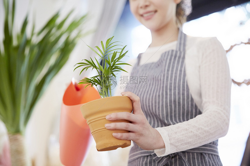 花盆里浇水的店员图片