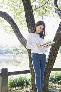 公园树下阅读的年轻女性图片