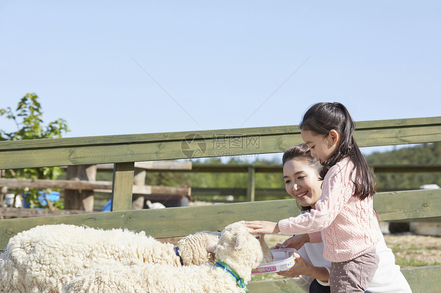 母女体验饲养小羊图片