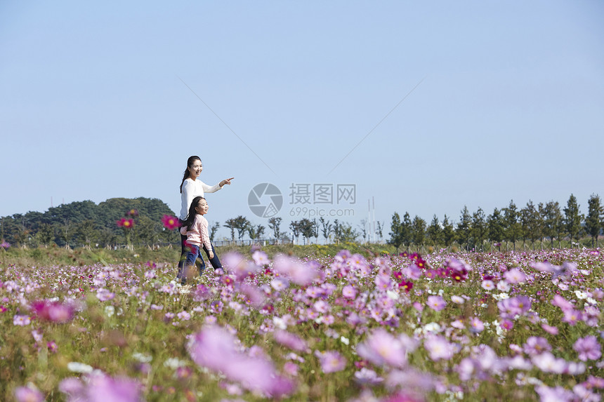 母女走在花田里图片