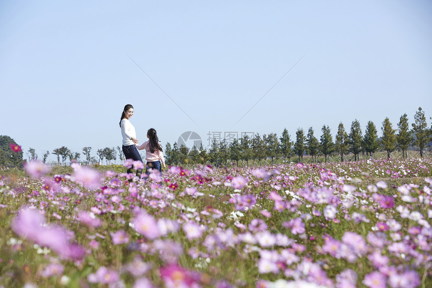 母女走在花田里图片