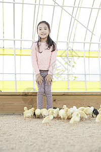 大图的缩小祝福语饲养家畜的摊位孩子女孩经验小鸭子鸭子背景图片