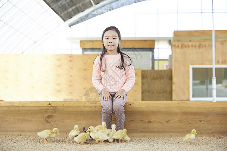 漂移或倾向韩国人分钟孩子女孩经验小鸭子鸭子图片