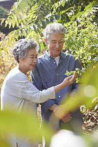 甜蜜的夫妻生活图片