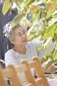 恩爱的老夫妻图片