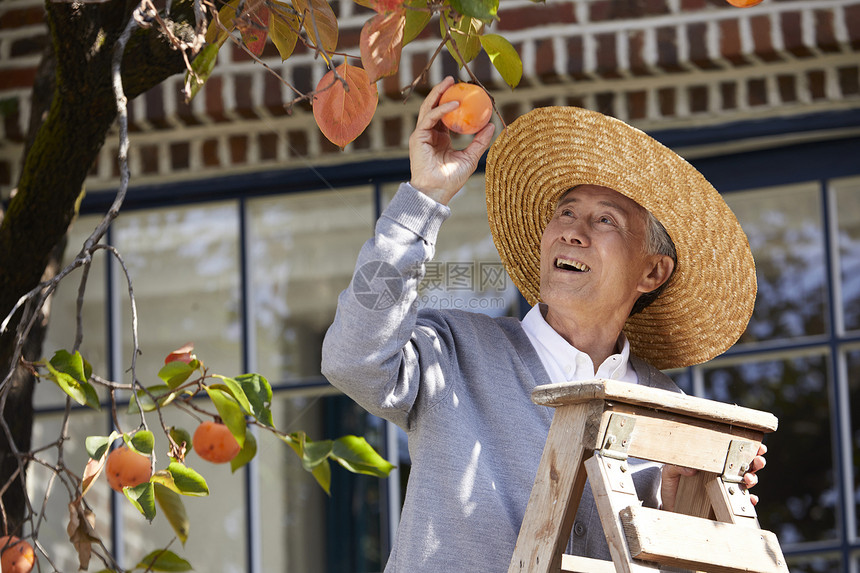 幸福快乐的老年人在院子里的生活图片