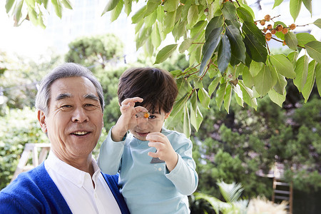 祖父抱着孙子采摘树浆果图片