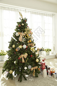 圣诞节圣诞树背景图片