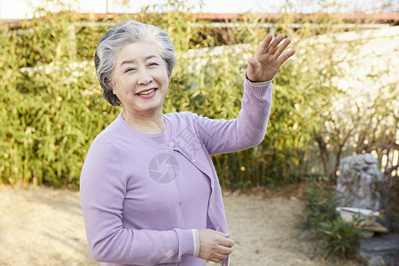 表示分庭律师神谕老人女人背景