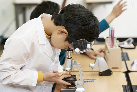 小学生用显微镜观察图片