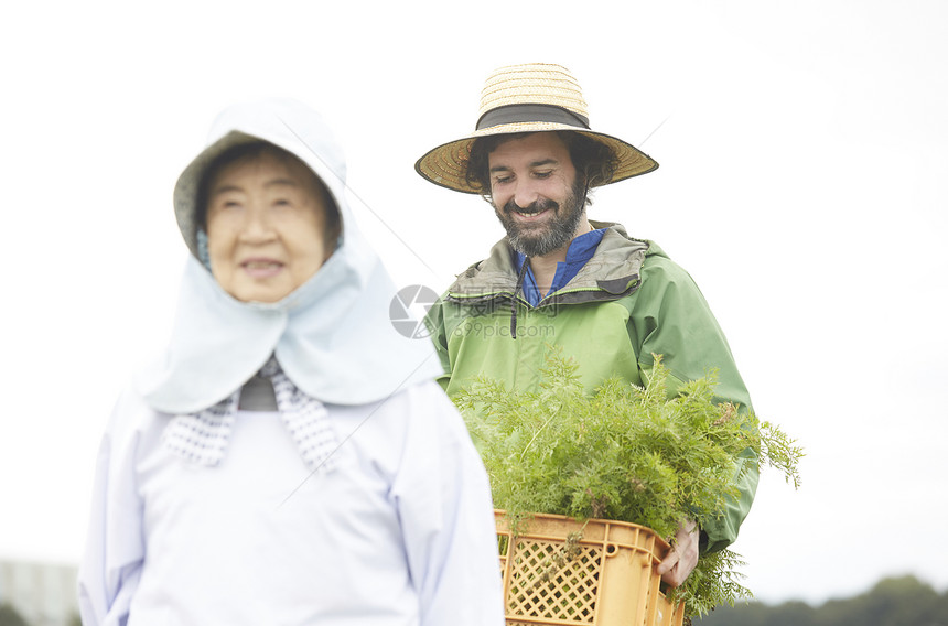 外国人体验农业种植图片