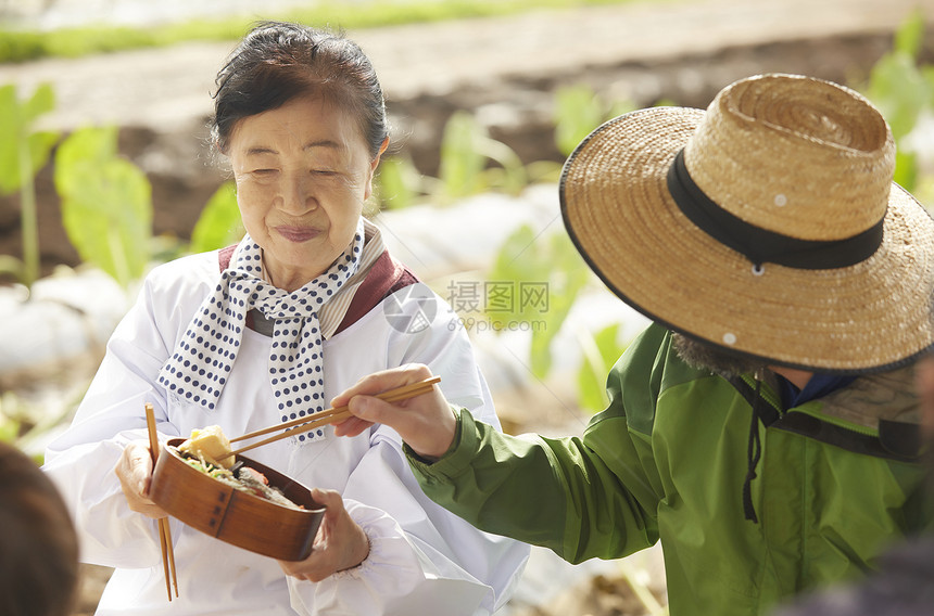 外国人体验农业种植图片