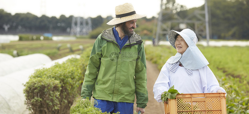 外国人体验种植生活图片