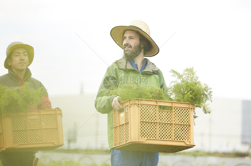 外国人体验种植生活图片