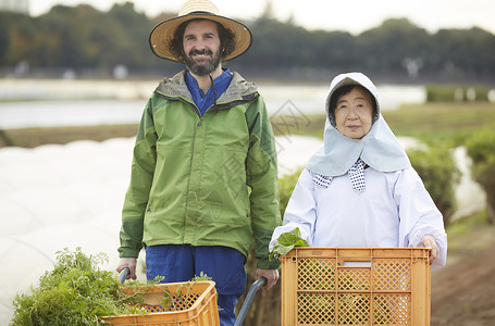 外国人体验种植生活图片