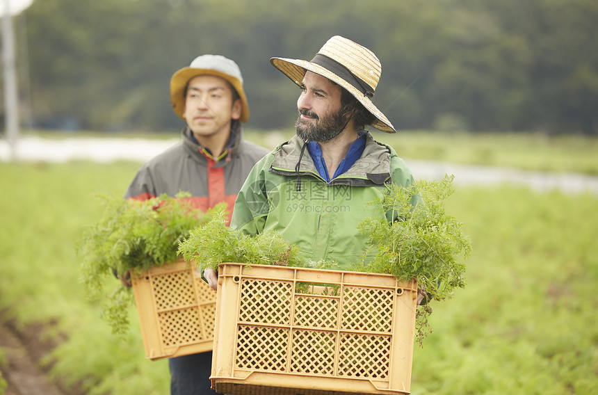 外国人体验种植生活图片