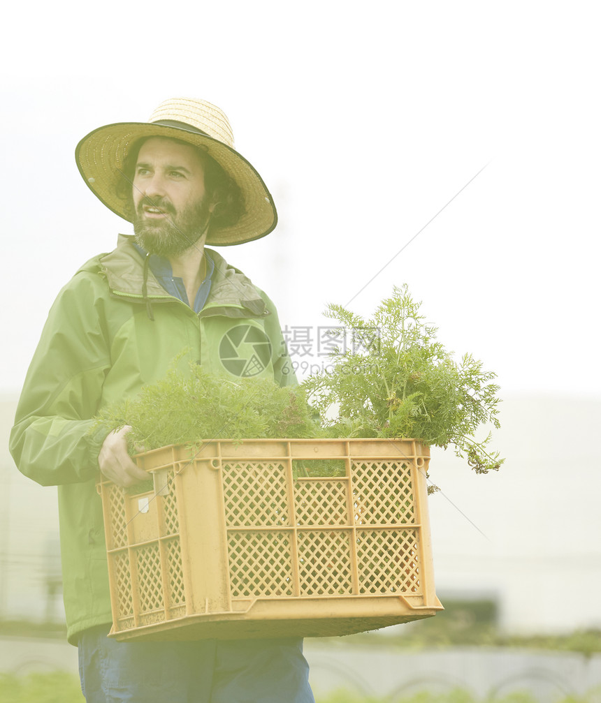 外国人体验种植生活图片