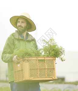 外国人体验种植生活图片