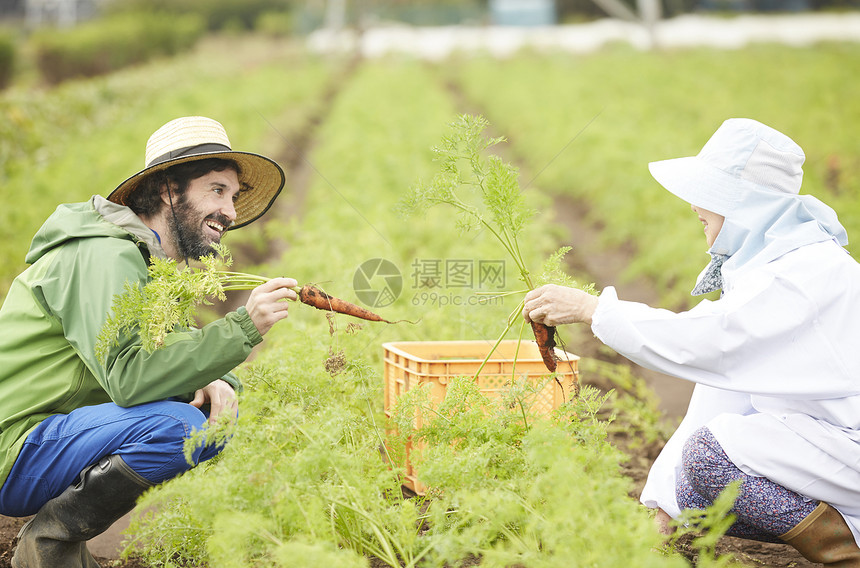 外国人体验农业种植生活图片