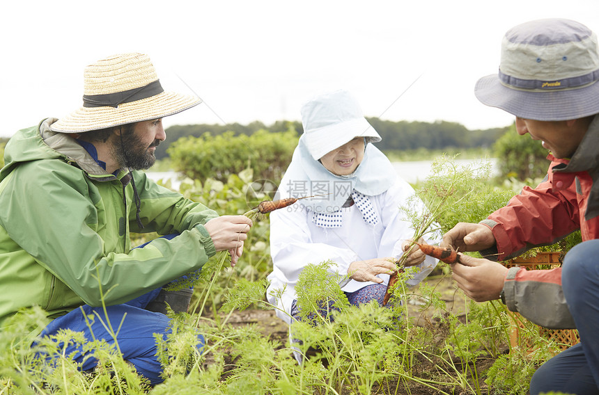 外国人体验农业种植生活图片