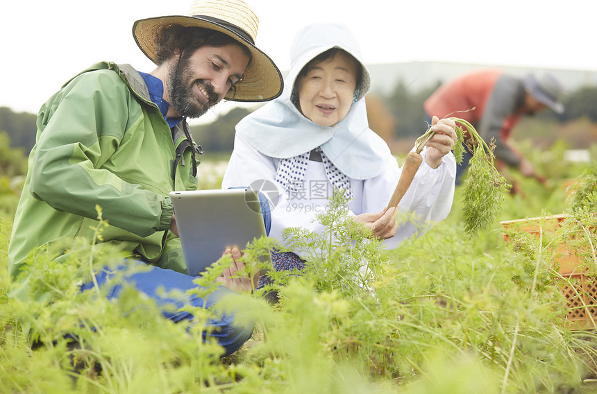 外国人体验农业种植生活图片