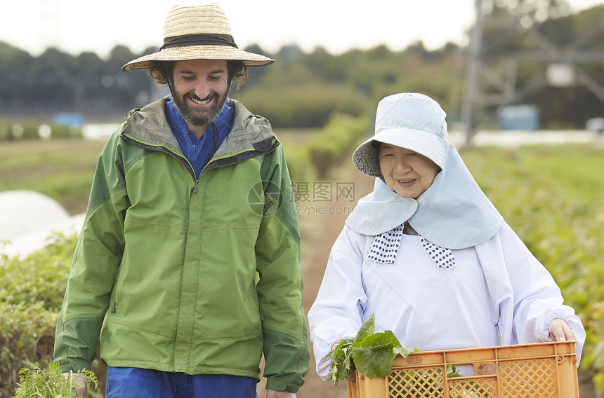 外国人体验农业种植生活图片