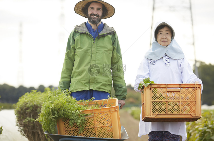 外国人在农作物研究种植图片