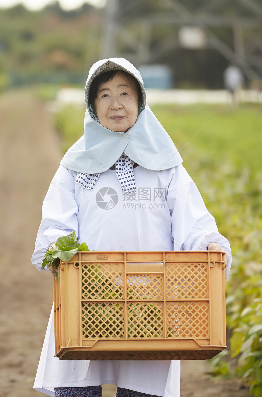 白人70几岁集装箱农民的女人图片