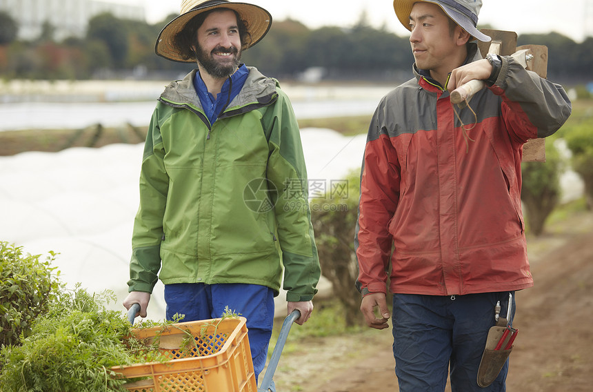 外国人体验种植园农作物图片