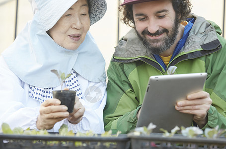 外国人体验农业种植生活图片