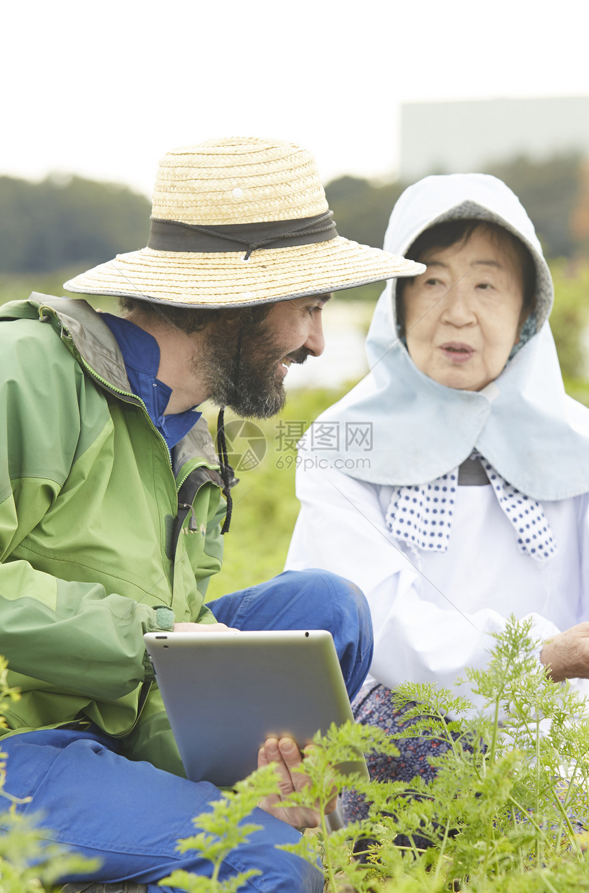 外国人体验农业种植生活图片