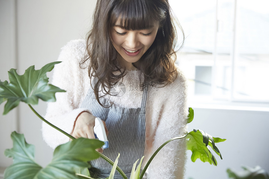 居家一个女人在做浇水图片