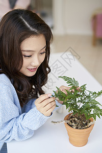 植物神谕非常小生活年轻女韩国人图片