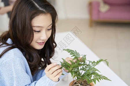 神谕新生代树生活年轻女韩国人图片