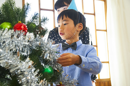 男孩整理圣诞树图片