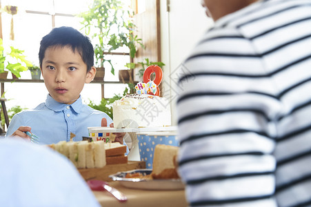 节日的时髦料理生日聚会图片