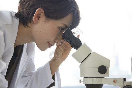 医学研究人员查看显微镜图片