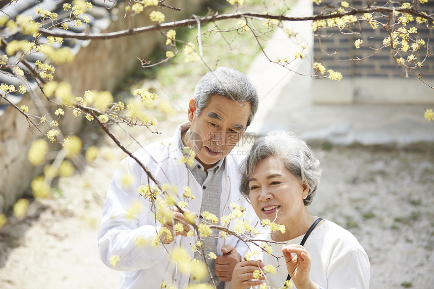 幸福生活老夫妇在赏花朵图片