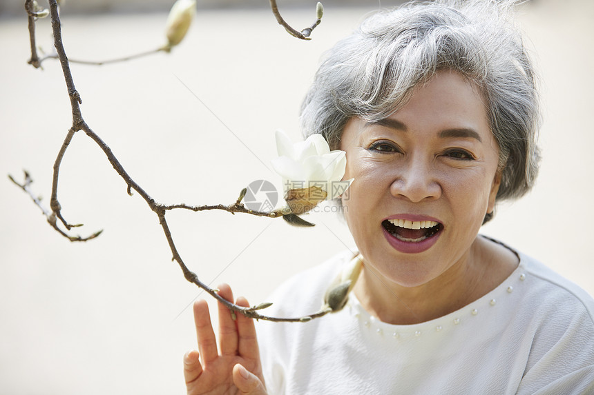 老妇人赏春花图片